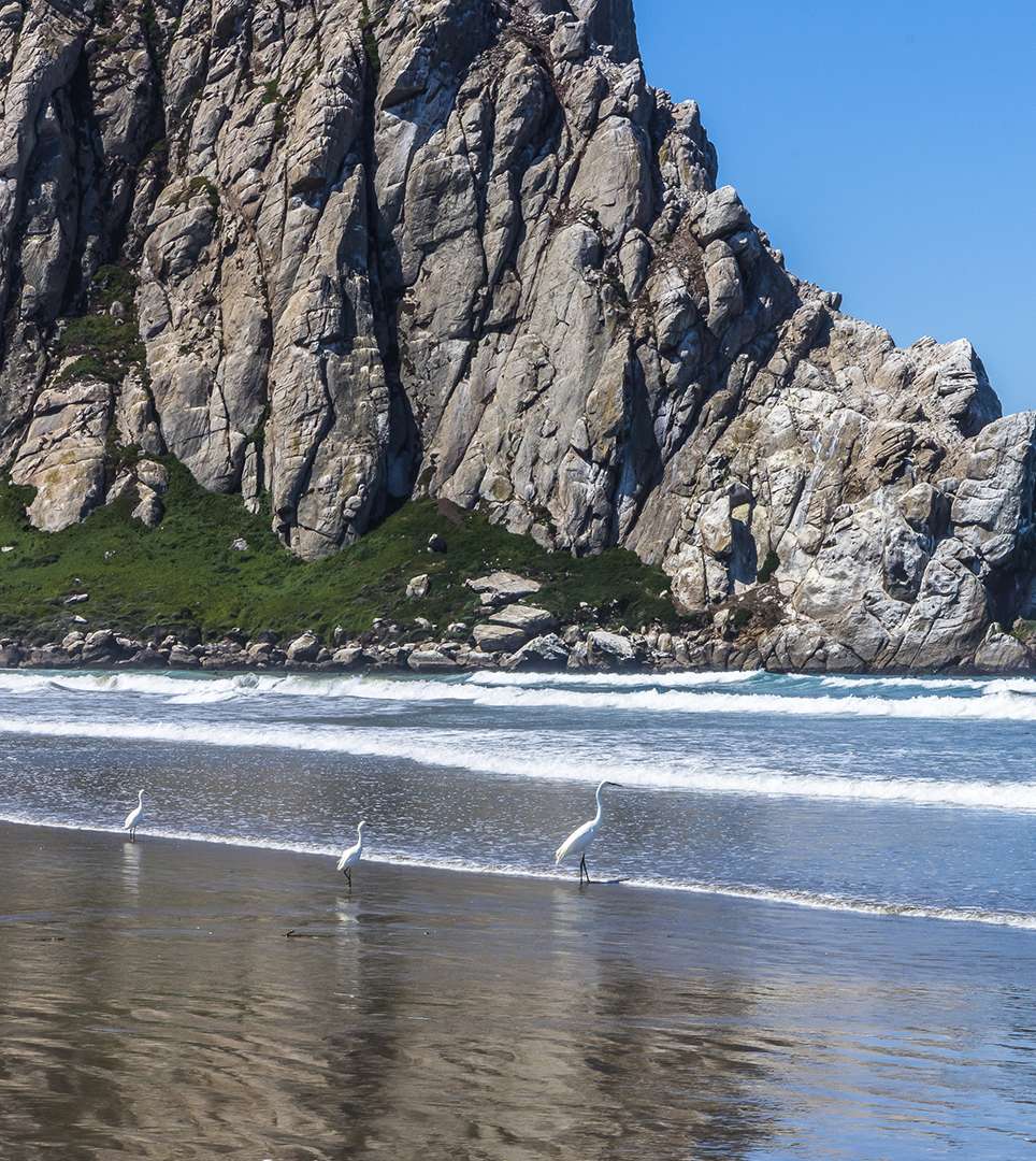 Morro Rock - Morro Bay, California - The Simple Hiker